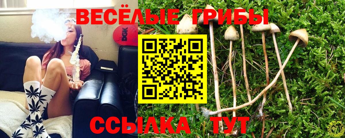 Галлюциногенные грибы Cubensis Реж